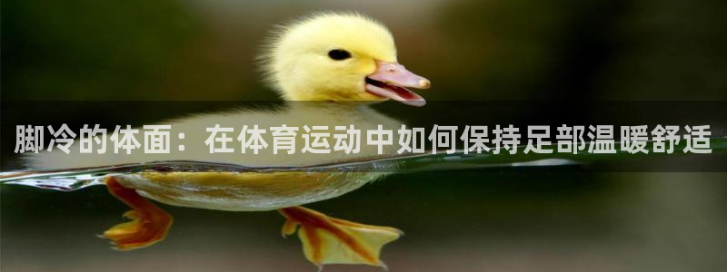 678体育官网地址：脚冷的体面：在体育运动中如何保持足部温暖舒适