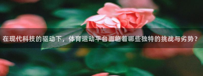 678体育官网：在现代科技的驱动下，体育运动平台面临着哪些独特的挑战与劣势？