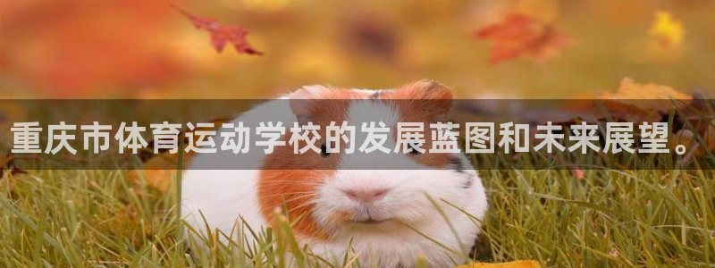 678体育官网：重庆市体育运动学校的发展蓝图和未来展望。