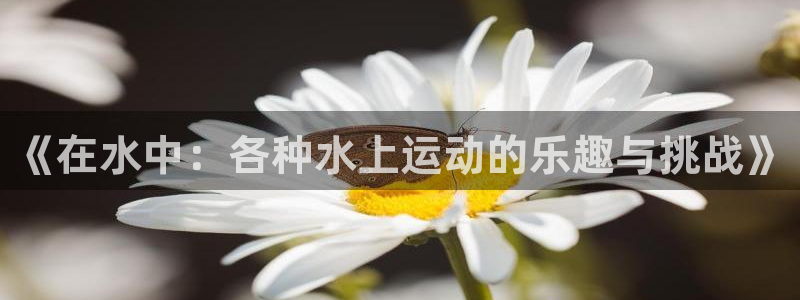678体育官网下载：《在水中：各种水上运动的乐趣与挑战》