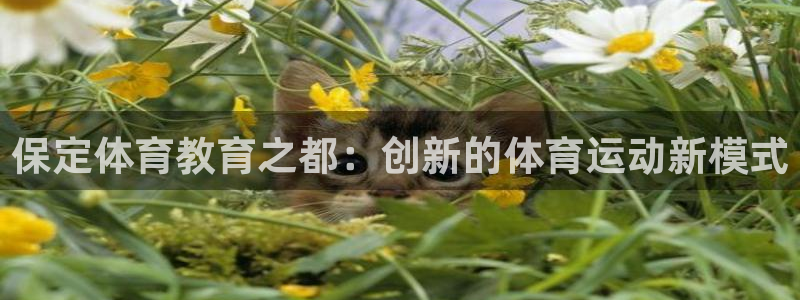 678体育app：保定体育教育之都：创新的体育运动新模式