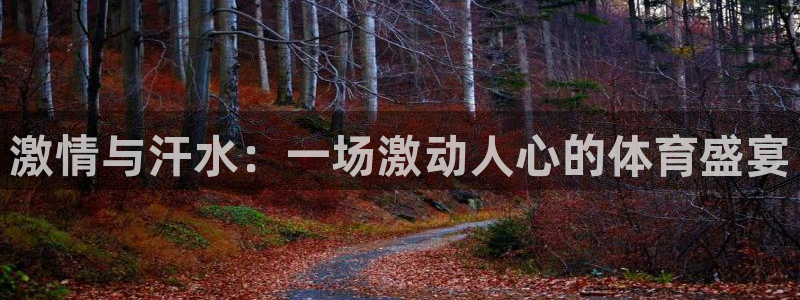 678体育app：激情与汗水：一场激动人心的体育盛宴