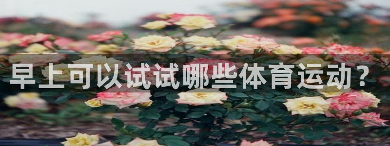 678体育知识：早上可以试试哪些体育运动？