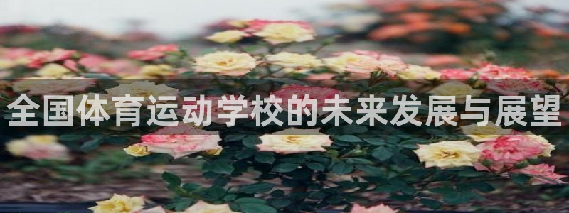 678体育官网地址：全国体育运动学校的未来发展与展望
