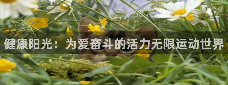 678体育知识：健康阳光：为爱奋斗的活力无限运动世界