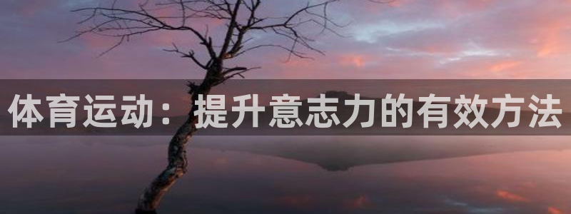 678体育app：体育运动：提升意志力的有效方法