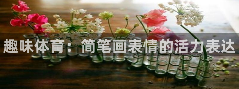 678体育app：趣味体育：简笔画表情的活力表达